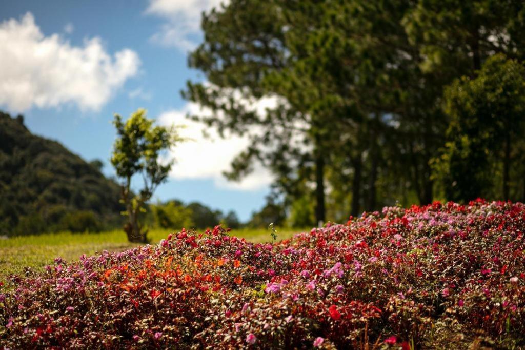 Sam Tuyen Lam Resort Da Lat Zewnętrze zdjęcie